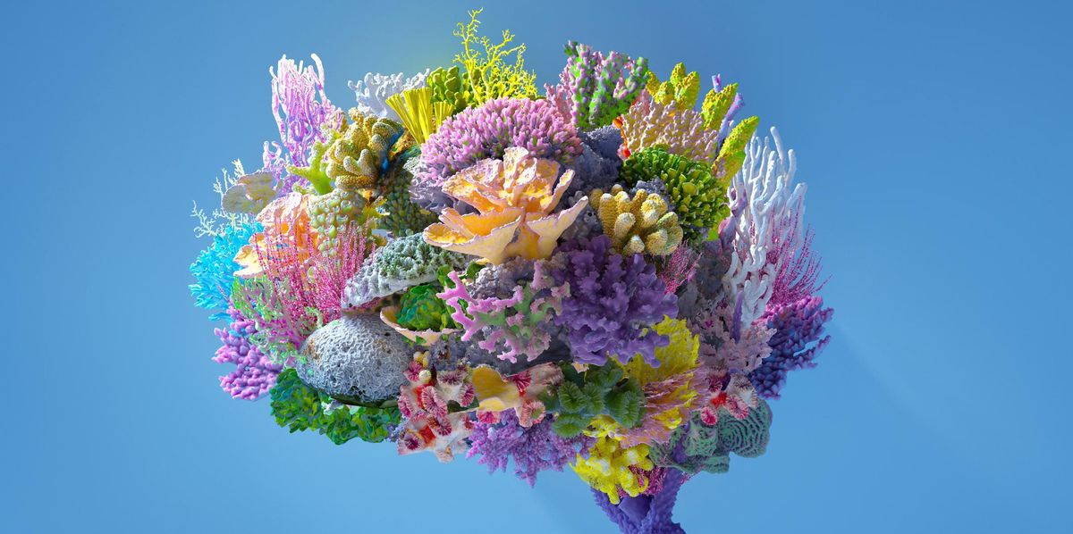 Brain microbiome: Researchers discover 100,000 types of microbes