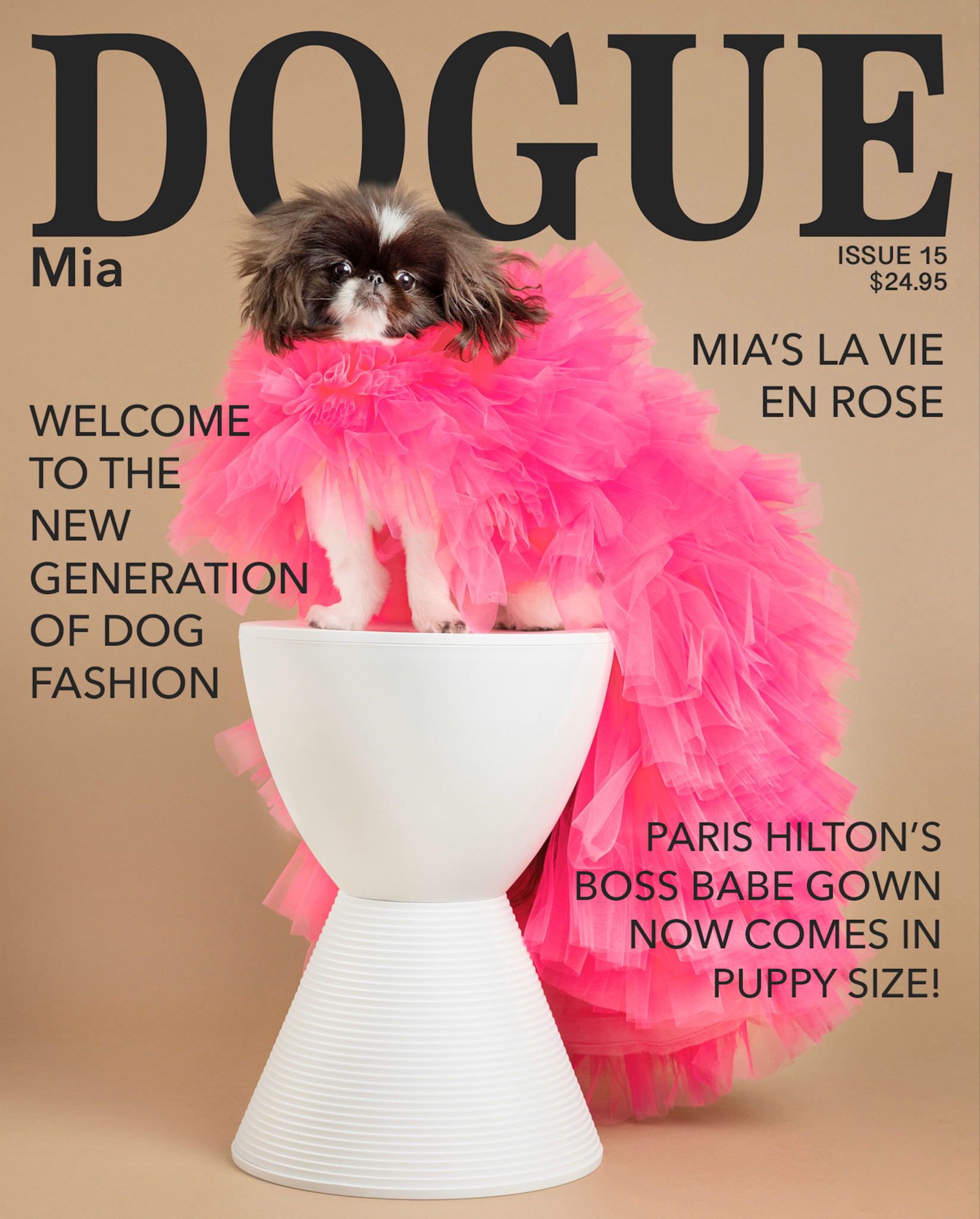 Dogue gegen Vogue: Kleines Satiremagazin legt sich mit der mächtigen Vogue an
