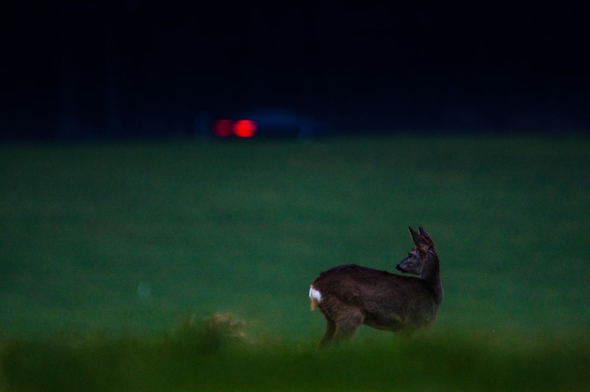 The sun had been setting for a long time but I was able to realize this photo with a long exposure.