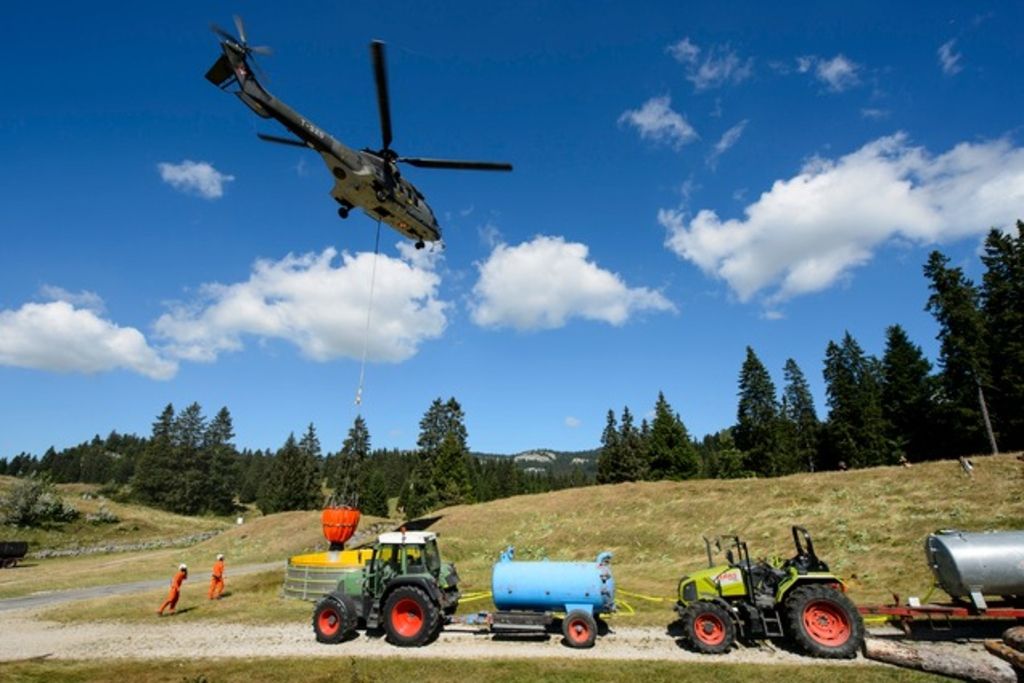 Vaud et Fribourg appellent l'armée pour le bétail