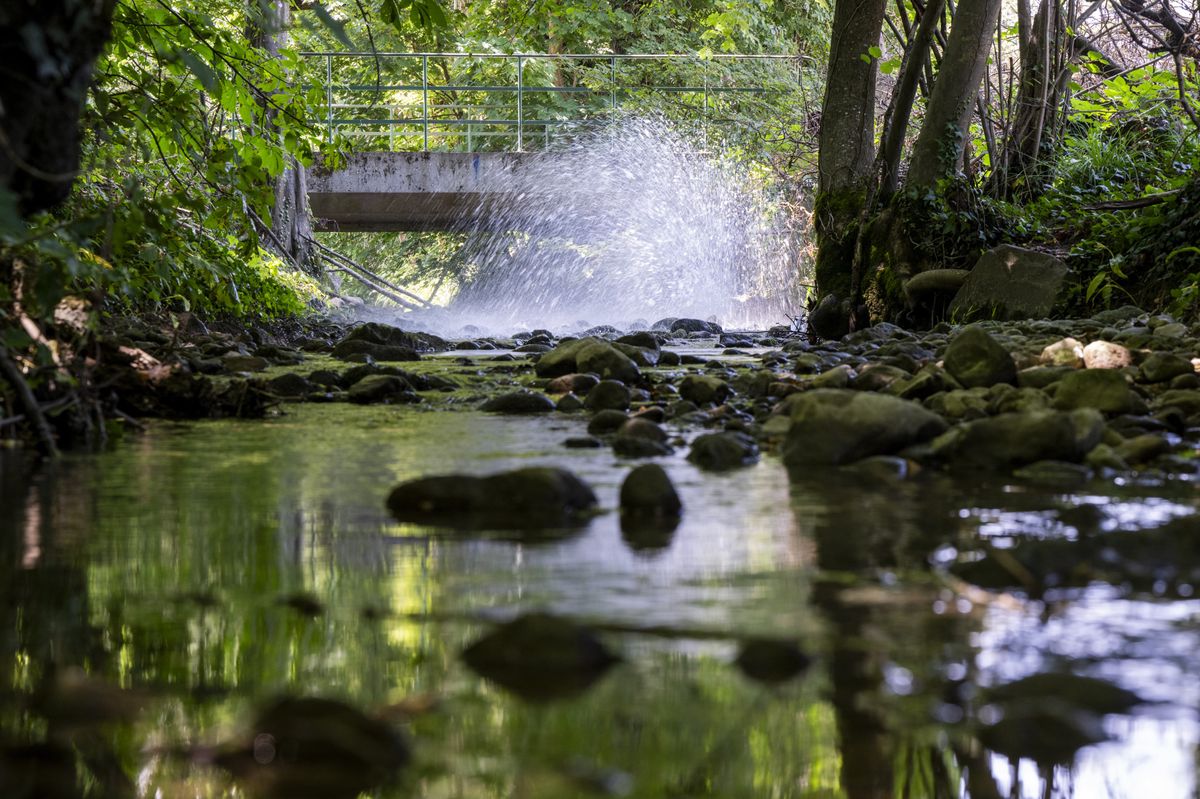 Une lance incendie alimente en eau potable la riviere la Drize en raison de la secheresse, ce dimanche 9 juillet 2023 a Troinex pres de Geneve. Les fortes chaleur et le manque de pluie mettent en peril la faune aquatique et les poissons dans la Drize, cette situation critique a force la Canton de Geneve a renfloue en eau, bien que cette situation ne soit pas souhaitee sur la duree, l'option favorisee est le soutien au debit et a la temperature de la Drize. Il consiste en l'apport d'eau du reseau, comme cela a pu etre le cas lors de l'ete 2022 ou on a injecte durant deux mois plus de 20,000 m3 d'eau dans la Drize. (KEYSTONE/Martial Trezzini)