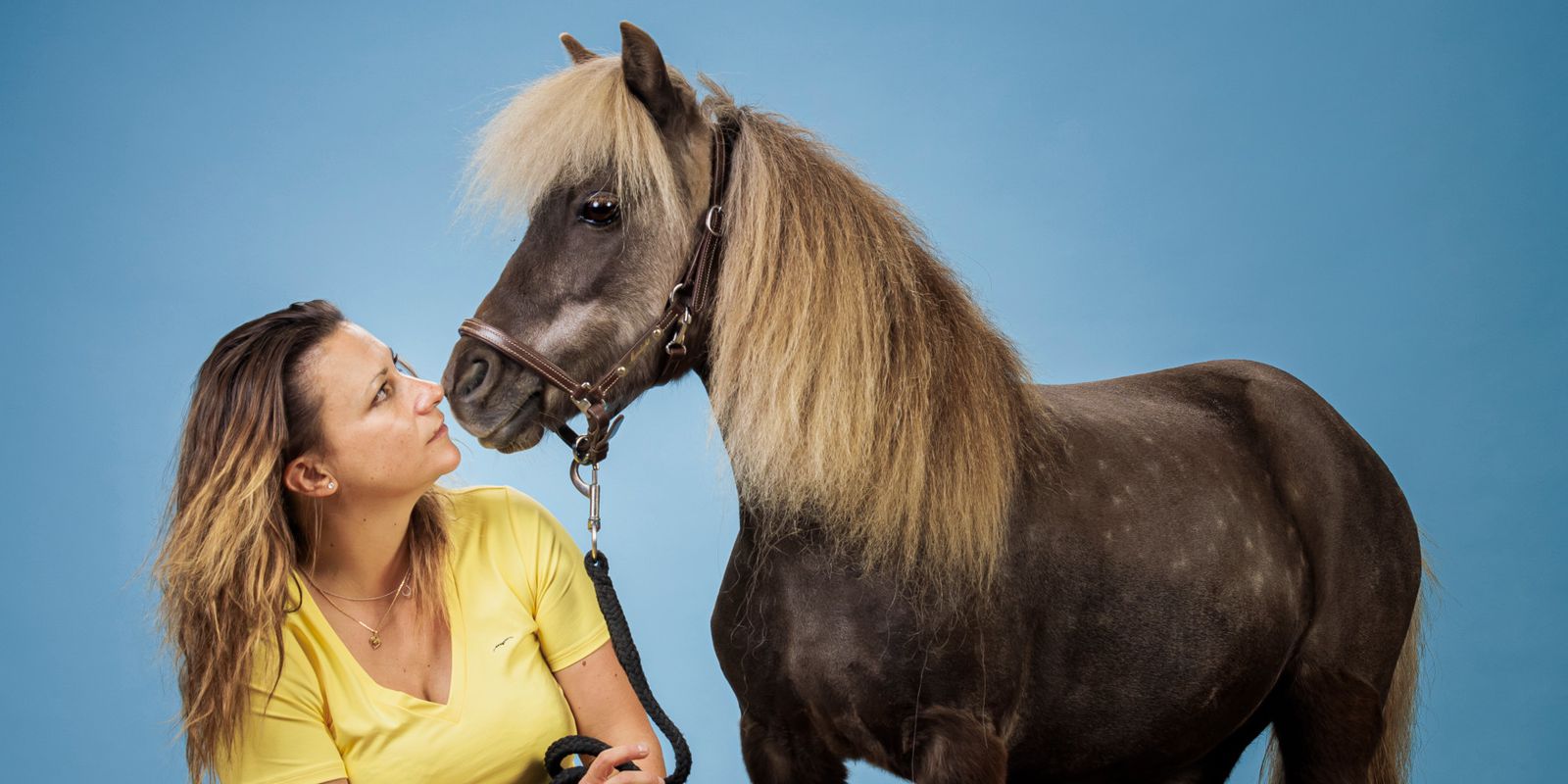 Une femme agenouillée à côté d'un petit cheval brun avec une crinière blonde, portant un licou, sur un fond bleu.