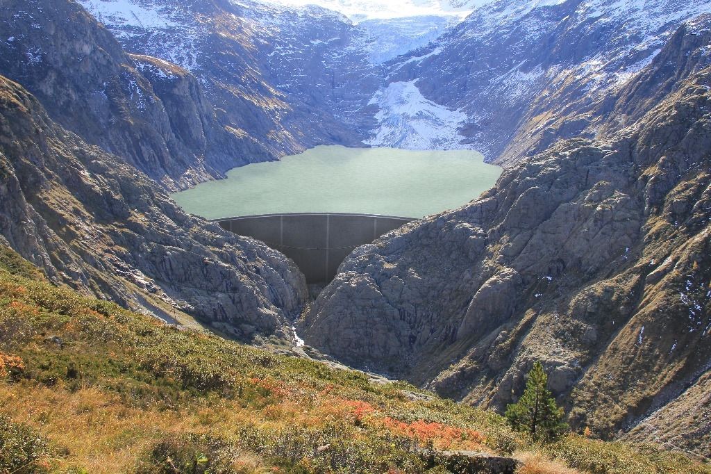 Bruderzwist an der Trift