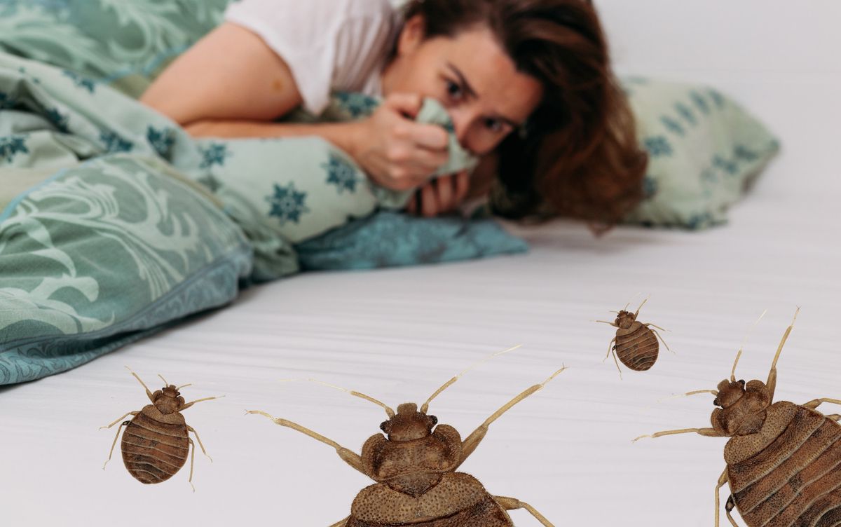 Woman in bedroom terrified by big spider crawling over her bed