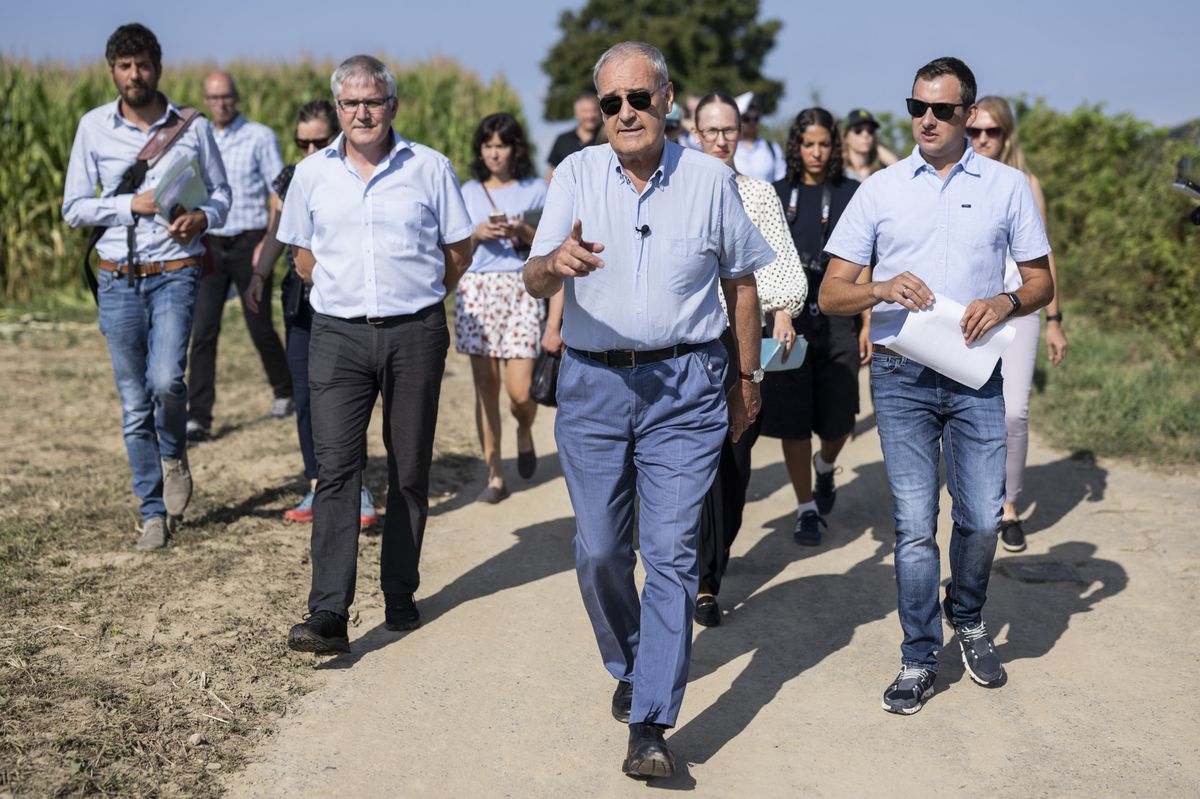 Bundesrat Guy Parmelin, au centre, marche avec Christian Hofer, directeur de l'Office fédéral de l'agriculture, à gauche, et l'agriculteur Christoph Herren, à droite, et des membres des médias sur la ferme de la famille Herren le vendredi 16 août 2024 à Wileroltigen BE, pour discuter de l'agriculture durable.