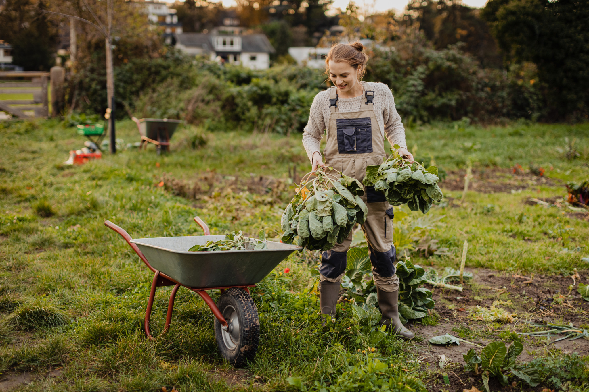 Conseils de jardinage: Comment préparer votre jardin pour l’hiver