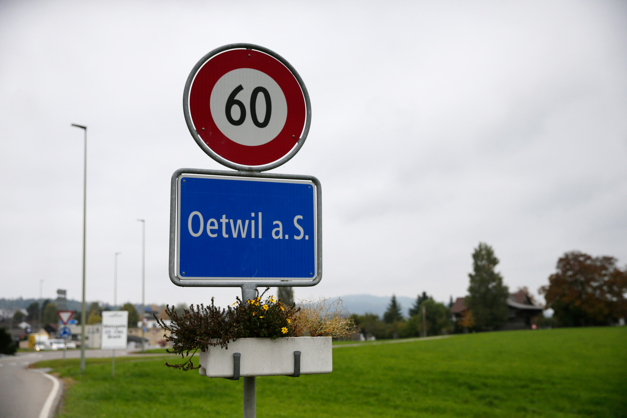Ortseinfahrtsschild von Oetwil a. S. mit Tempolimit 60 km/h, grüne Wiesen und Dorf im Hintergrund.