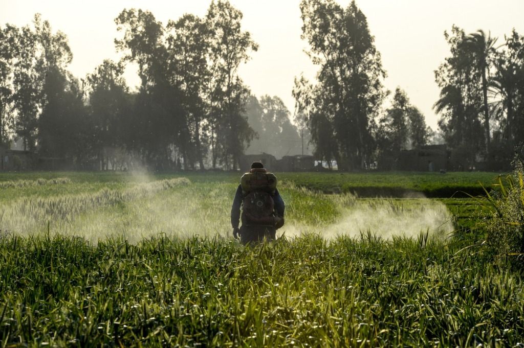 Les USA utilisent des pesticides interdits en Europe