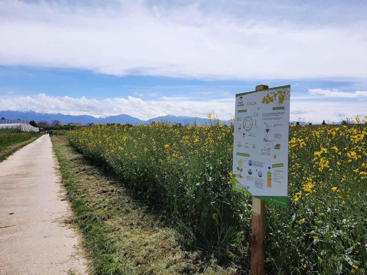 Des panneaux explicatifs sont disposés le long des circuits.