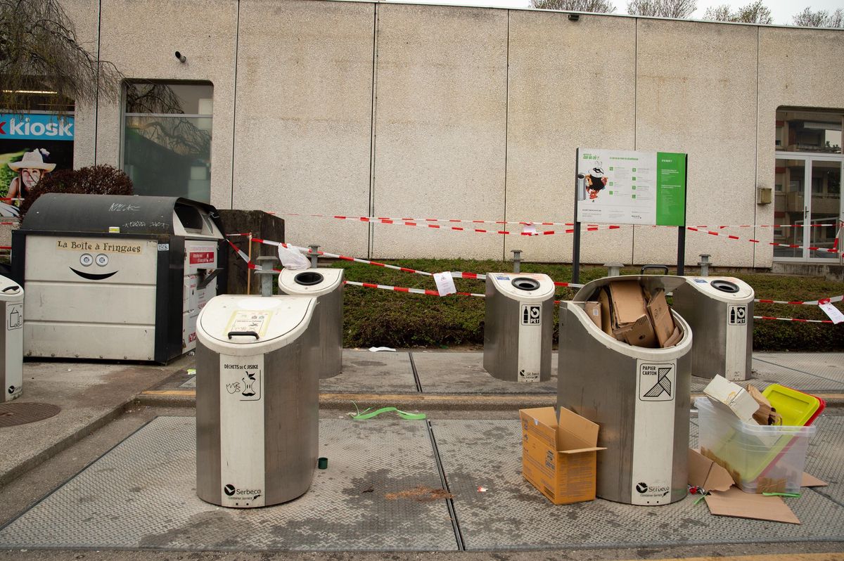 De nombreuses galeries ont été creusées par les rats dans les buissons situés derrière les bennes enterrées, de l’avenue du Gros-Chêne. La commune a mandaté une entreprise pour intervenir.