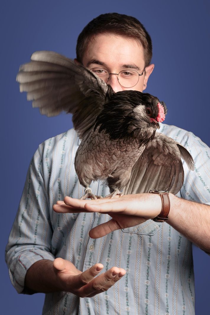 Selon son maître et le jury du concours de beauté auquel Gérard a participé cette année, ce coq possède des caractéristiques parfaites.