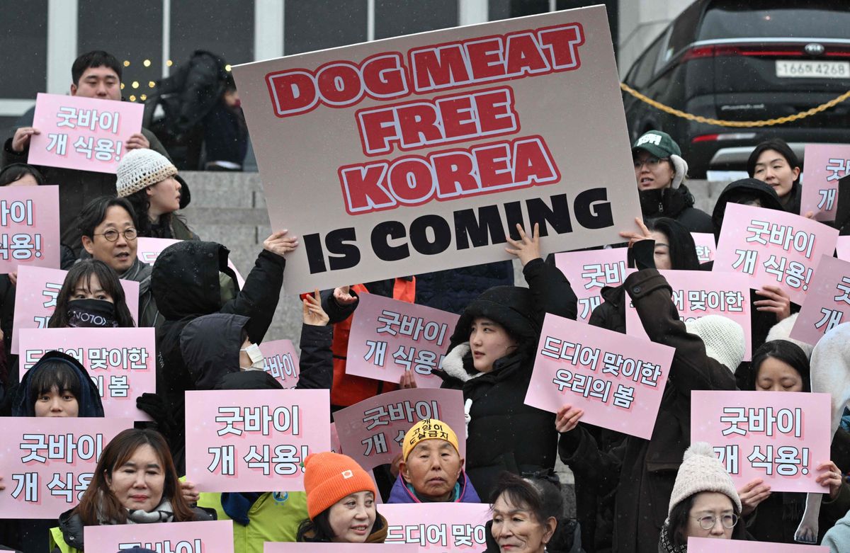 Animal rights activists hold placards reading "Good bye dog meat!" during a rally welcoming a bill banning dog meat trade at the National Assembly in Seoul on January 9, 2024. South Korea's parliament on January 9, passed a bill banning breeding, slaughtering and selling dogs for their meat, a traditional practice that activists have long called an embarrassment for the country. (Photo by JUNG YEON-JE / AFP)