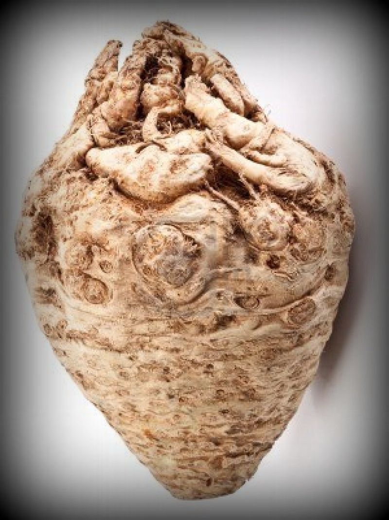 Céleri en papillote