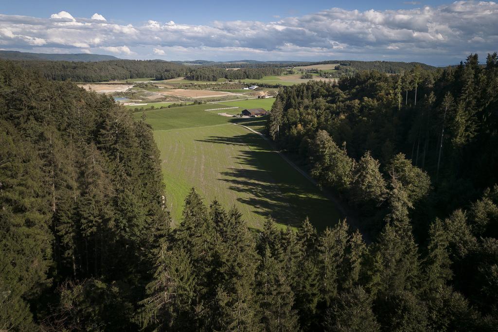 Das geologische Tiefenlager für radioaktive Abfälle wird gemäss Nagra-Entscheid im Haberstal erstellt, auf dem grünen Fleck zwischen den Waldstücken und angrenzend an den Hof von Bäuerin Ramona Keller.