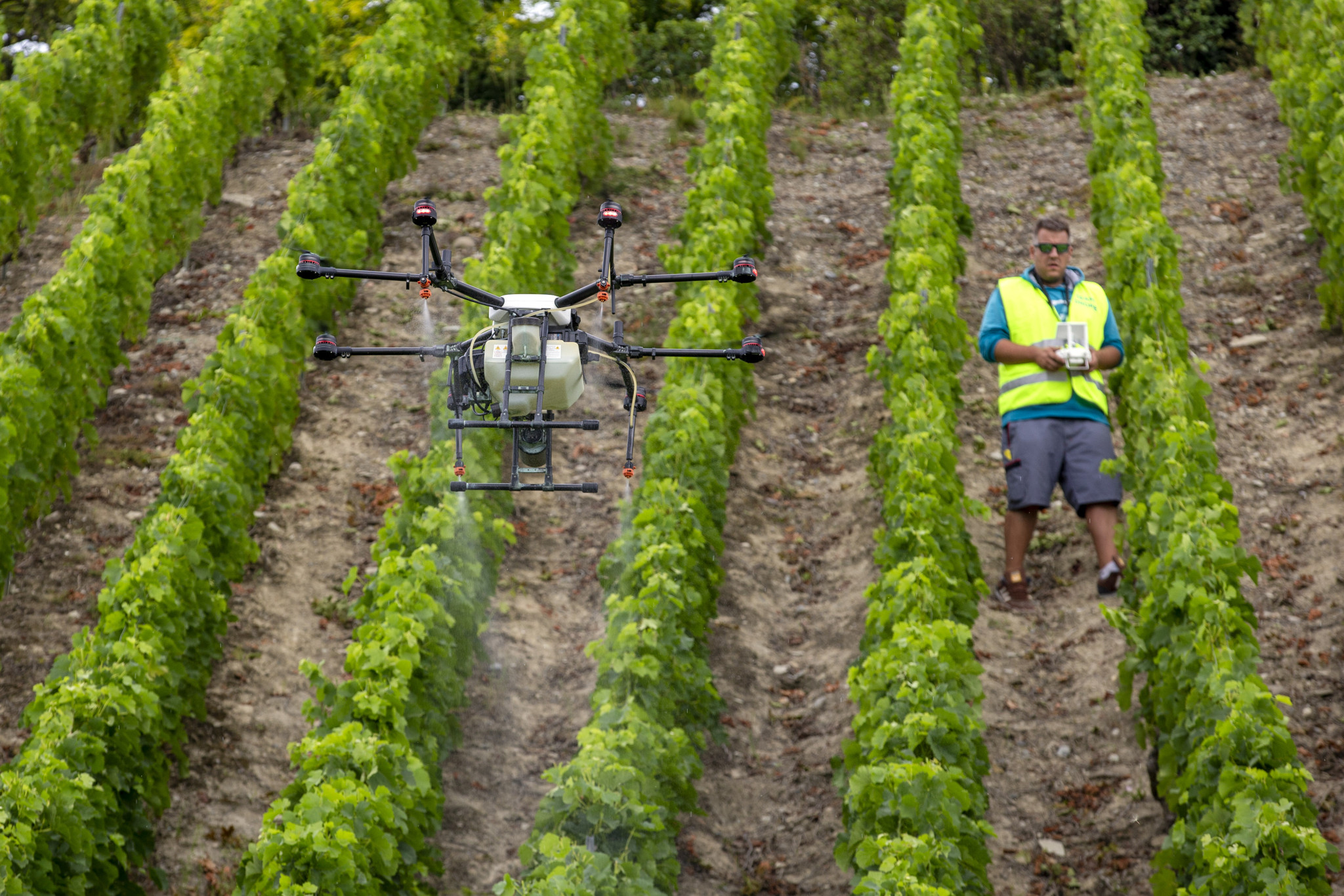 Schweizer Test zeigt: Ein Viertel der Pestizide kann mit «Precision-Farming» eingespart werden