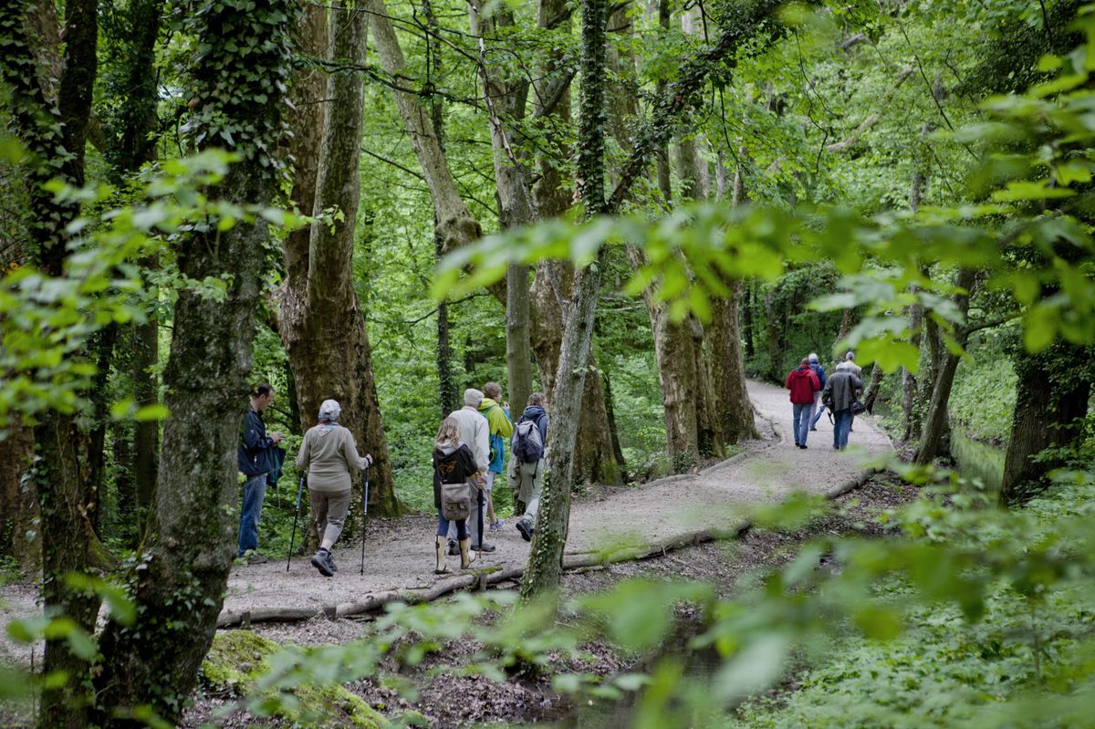La Journée cantonale des chemins de randonnée vous offre un grand bol de nature.