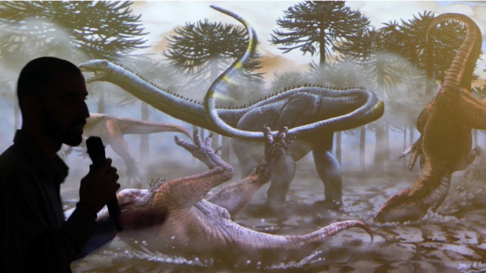 Argentine Découverte du plus grand dinosaure connu Tribune de Genève