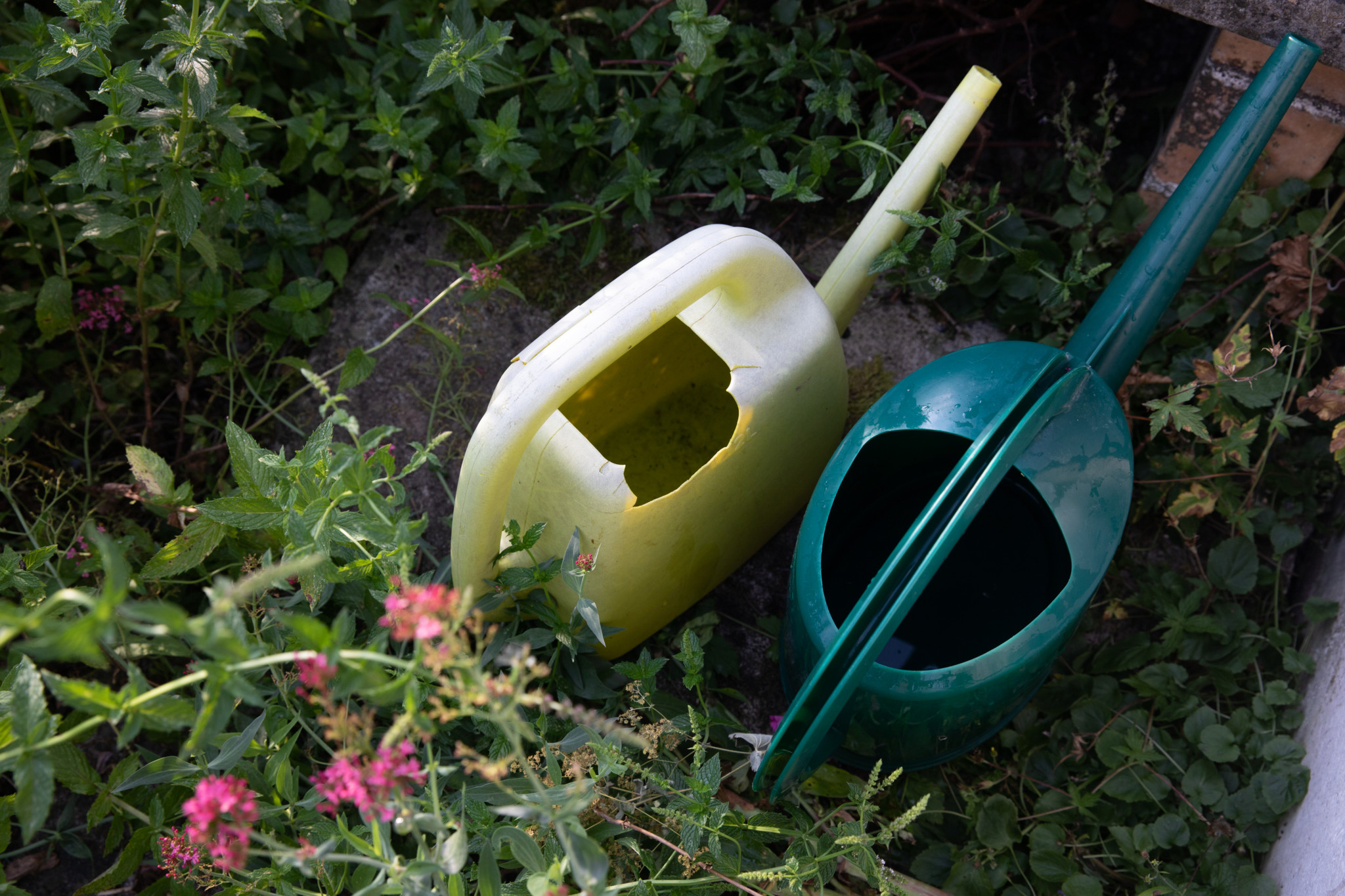 Wetter Schweiz: Trockenheit in der Schweiz nimmt zu – steigt jetzt das Risiko für einen Hitzesommer?