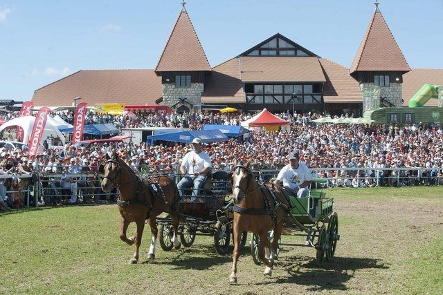 Une photo datant de l'édition de 2103 du Marché-Concours.