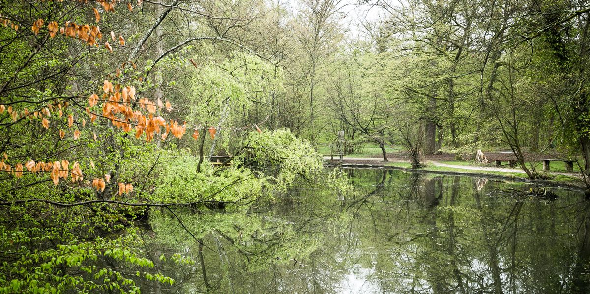 Lange-Erlen-Otterbach-wird-f-r-2-4-Millionen-Franken-aus-dem-Untergrund-geholt