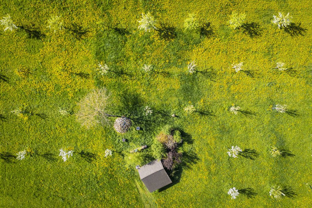 Der hypothekarische Referenzzins verharrte Anfang Juni bei 1,75%.