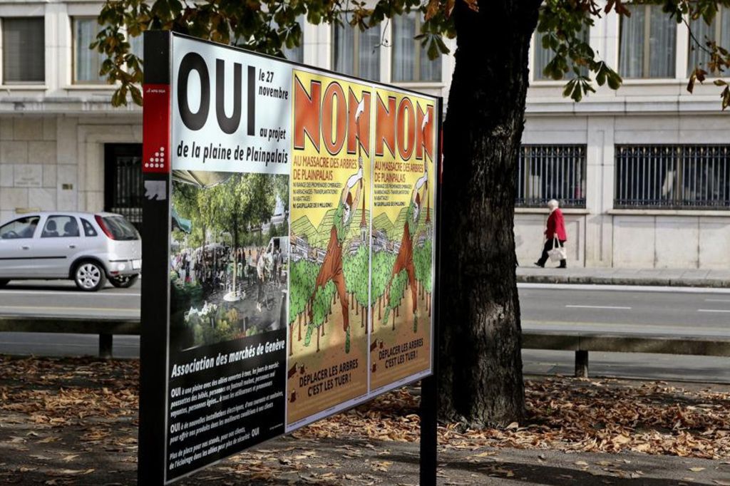 Les élus veulent des expertises sur les arbres