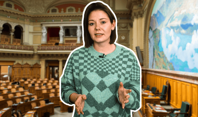 Das musst du zur Bundesratswahl wissen