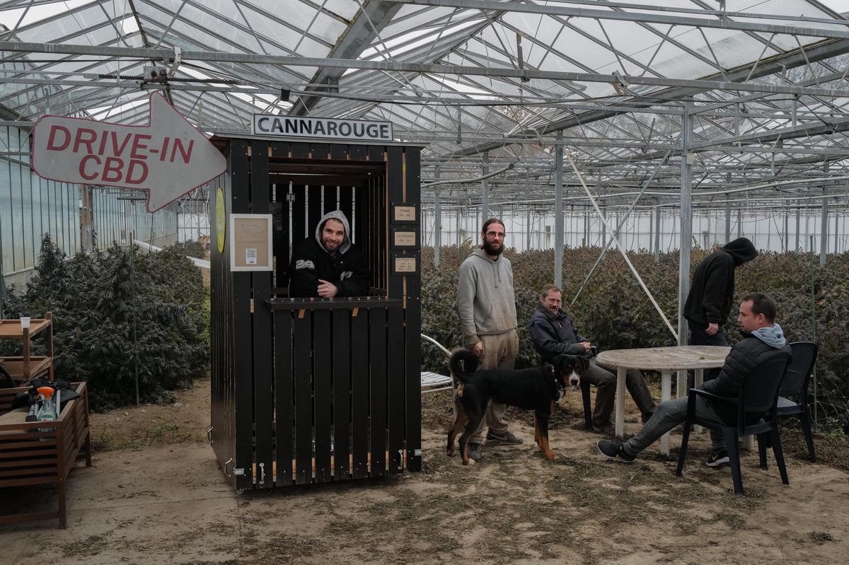 L’équipe de D’JYMS dans une de ses serres de Troinex. La petite cahute sert de stand sur le marché de Carouge, comme de drive-in à l’entrée de l’exploitation.