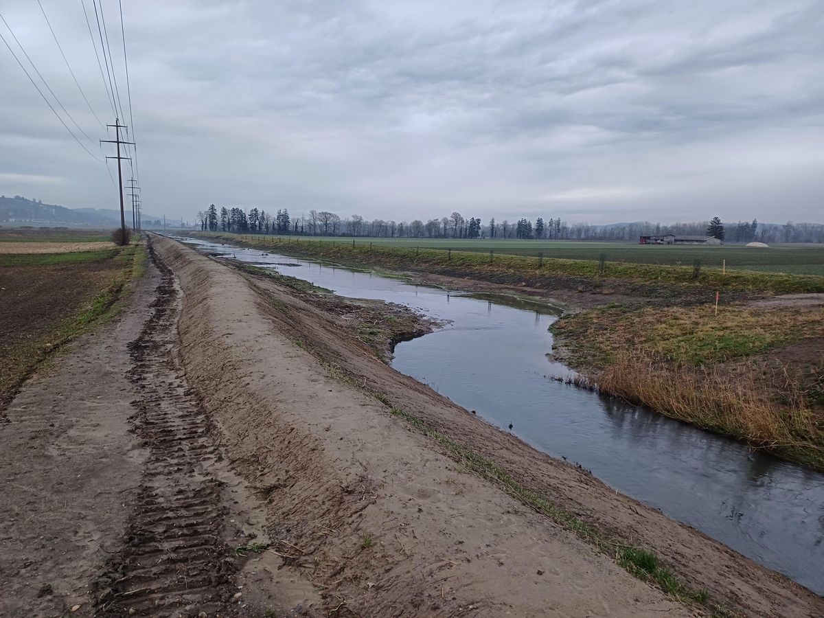 Revitalisation de cours d’eau: La curieuse demi-berge de la Petite Glâne inquiète
