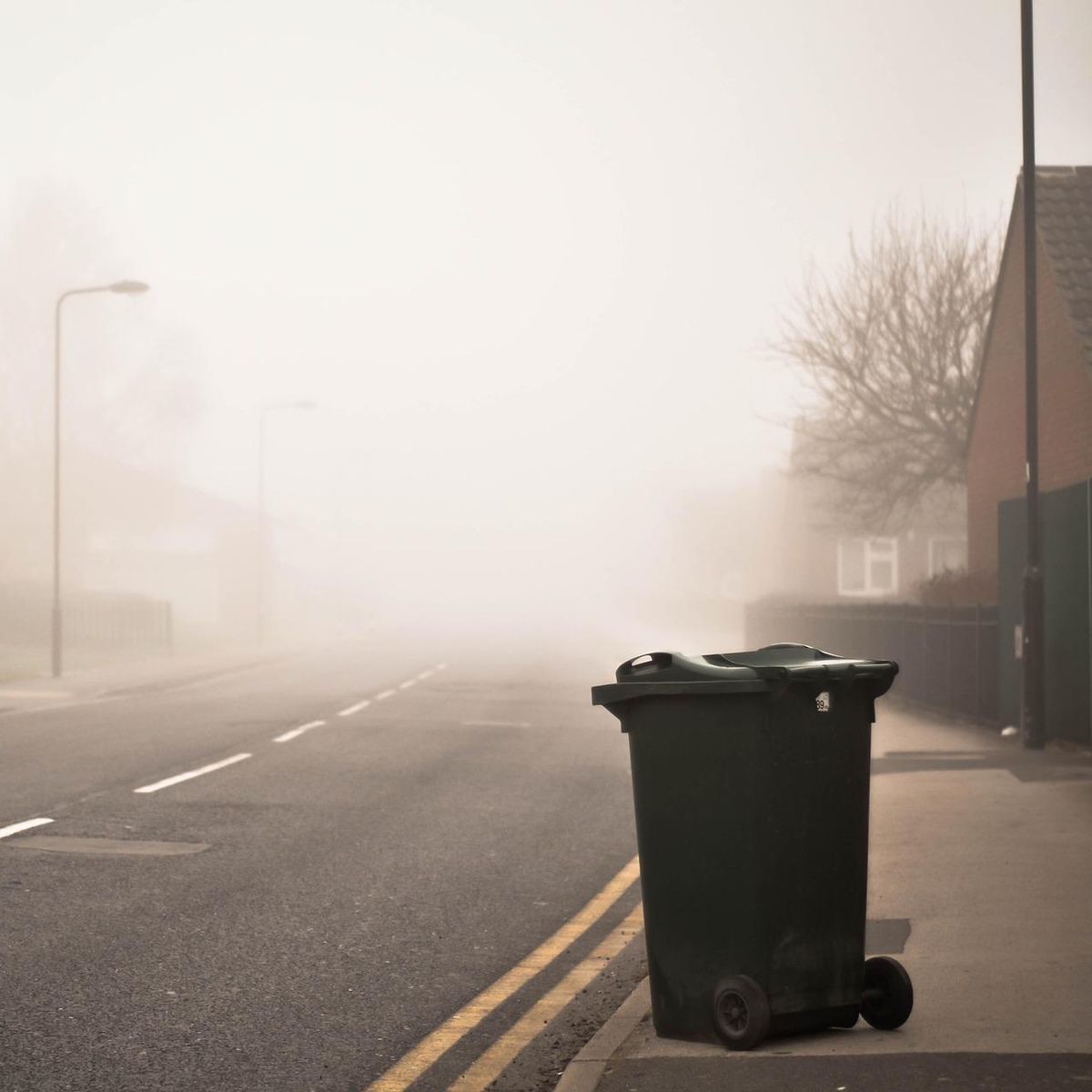 France Un Nouveau Ne Trouve Vivant Dans Une Poubelle Le Matin