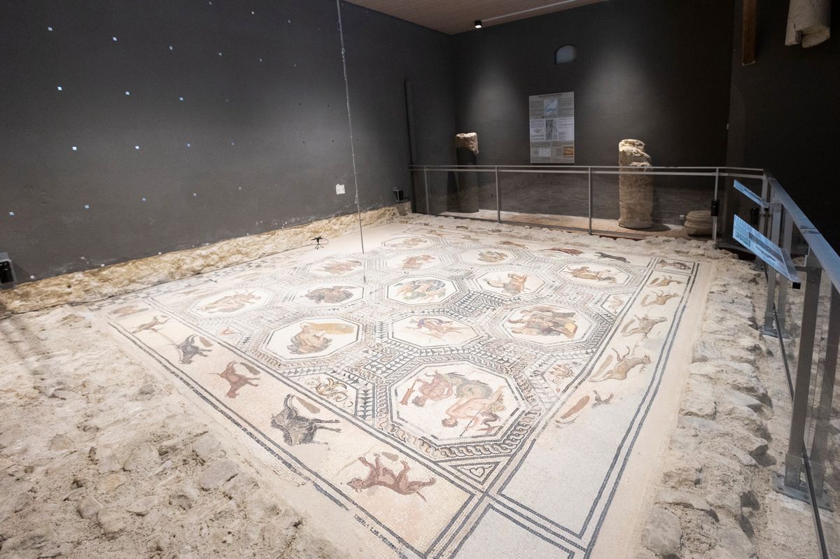 Le soin apporté aux détails de la mosaïque aux Divinités atteste de la richesse des anciens occupants des lieux.