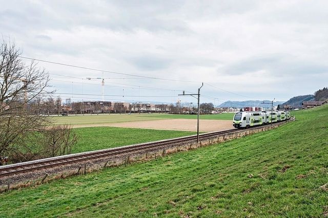 Heute freies Gelände, morgen ÖV-Knoten: Die Balsigermatte.