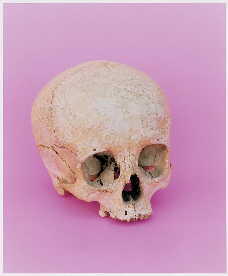 La collection Pictet s'invite au Musée de Carouge