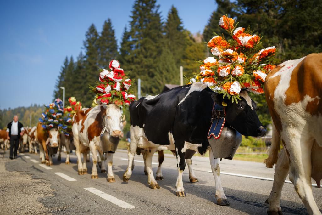 Près de 15’000 personnes participent en moyenne à la désalpe de Saint-Cergue, comme ici en 2018.