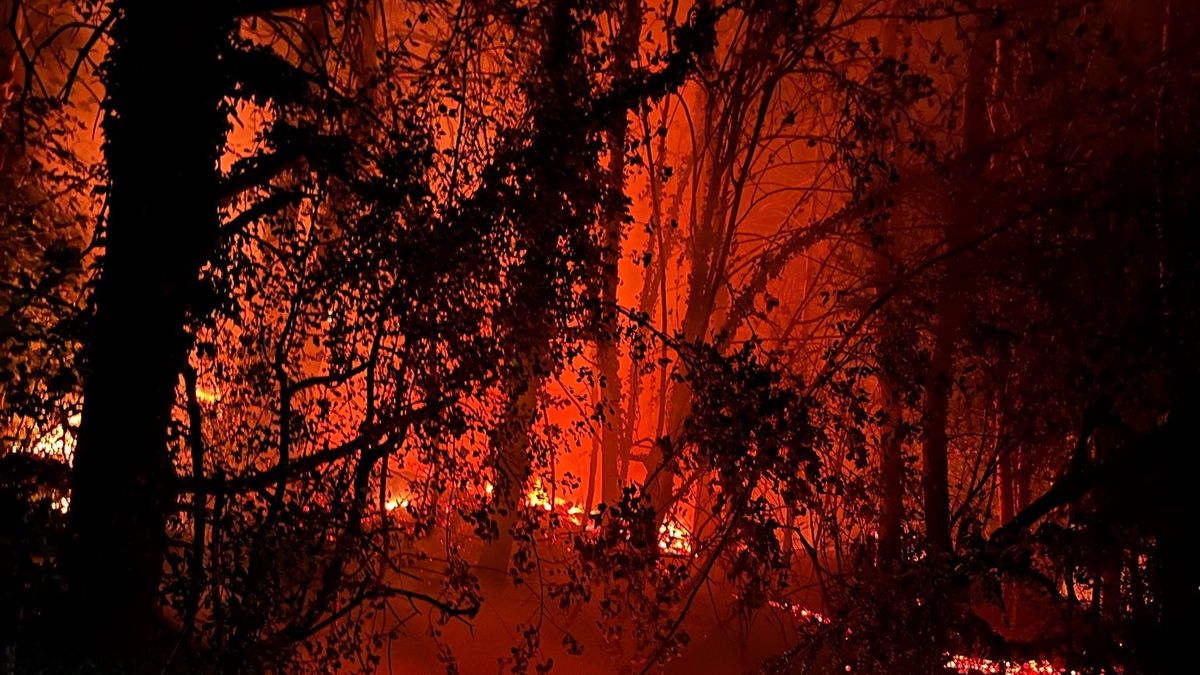 Un incendie dévaste environ 250 m2 de lisière de forêt à Flanthey (VS)