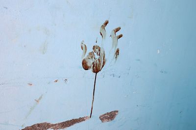 Des tiktokers dans un kibboutz ou la nouvelle guerre de l'info