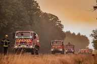 Bild der Woche: Im unermüdlichen Einsatz gegen die Flammen