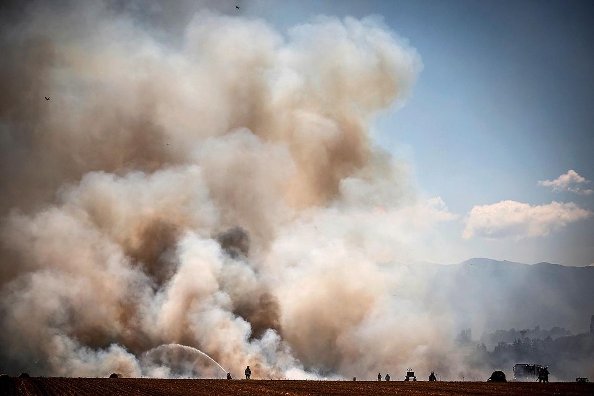Le dégagement de fumée est immédiat, au-dessus des champs touchés par le feu survenu ce dimanche après-midi à Meyrin. 