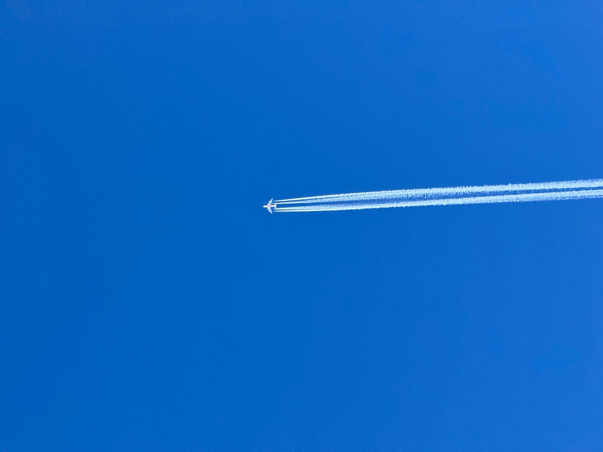 Starlink-Internet im Flugzeug: Auch Swiss dabei: Schnelles Internet ermöglicht Telefonieren im Flugzeug