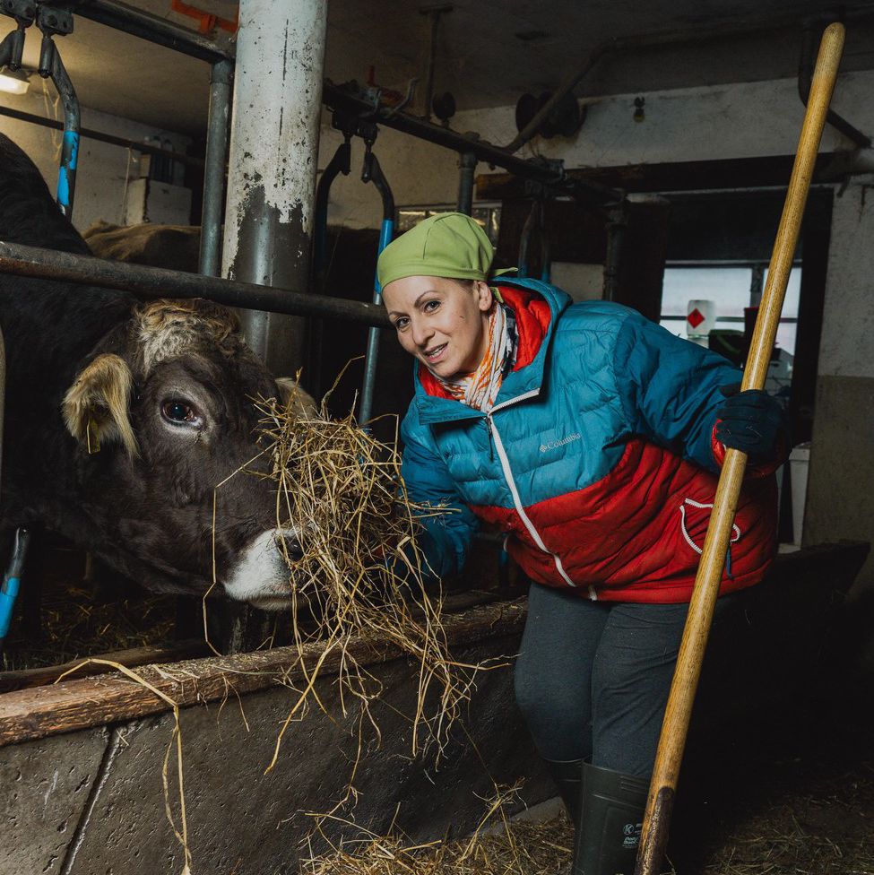Eine Frau füttert in einem Stall auf dem Gnadenhof eine Kuh mit Heu. Im Hintergrund sind tierische Bewohner des Peter-Hofs sichtbar.