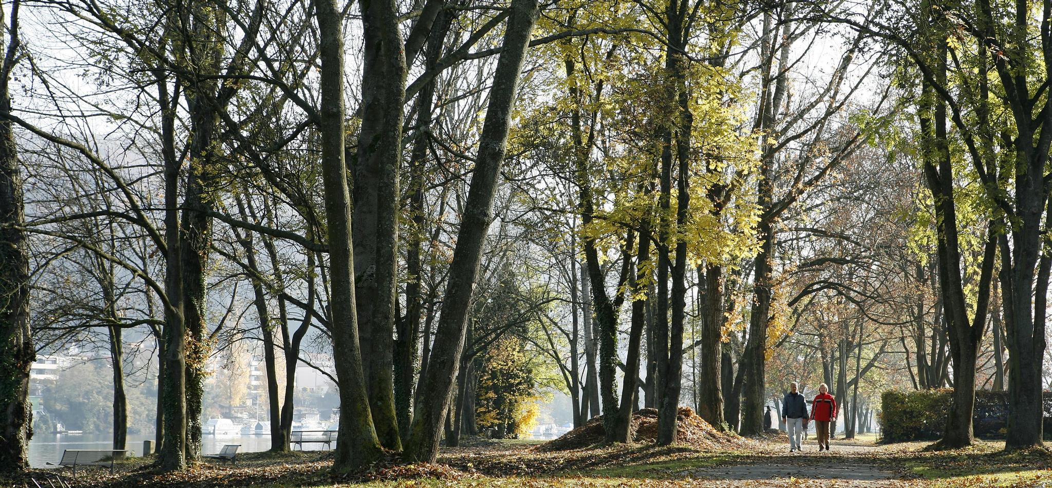 Eine kleine Geschichte aus dem Alltag.
