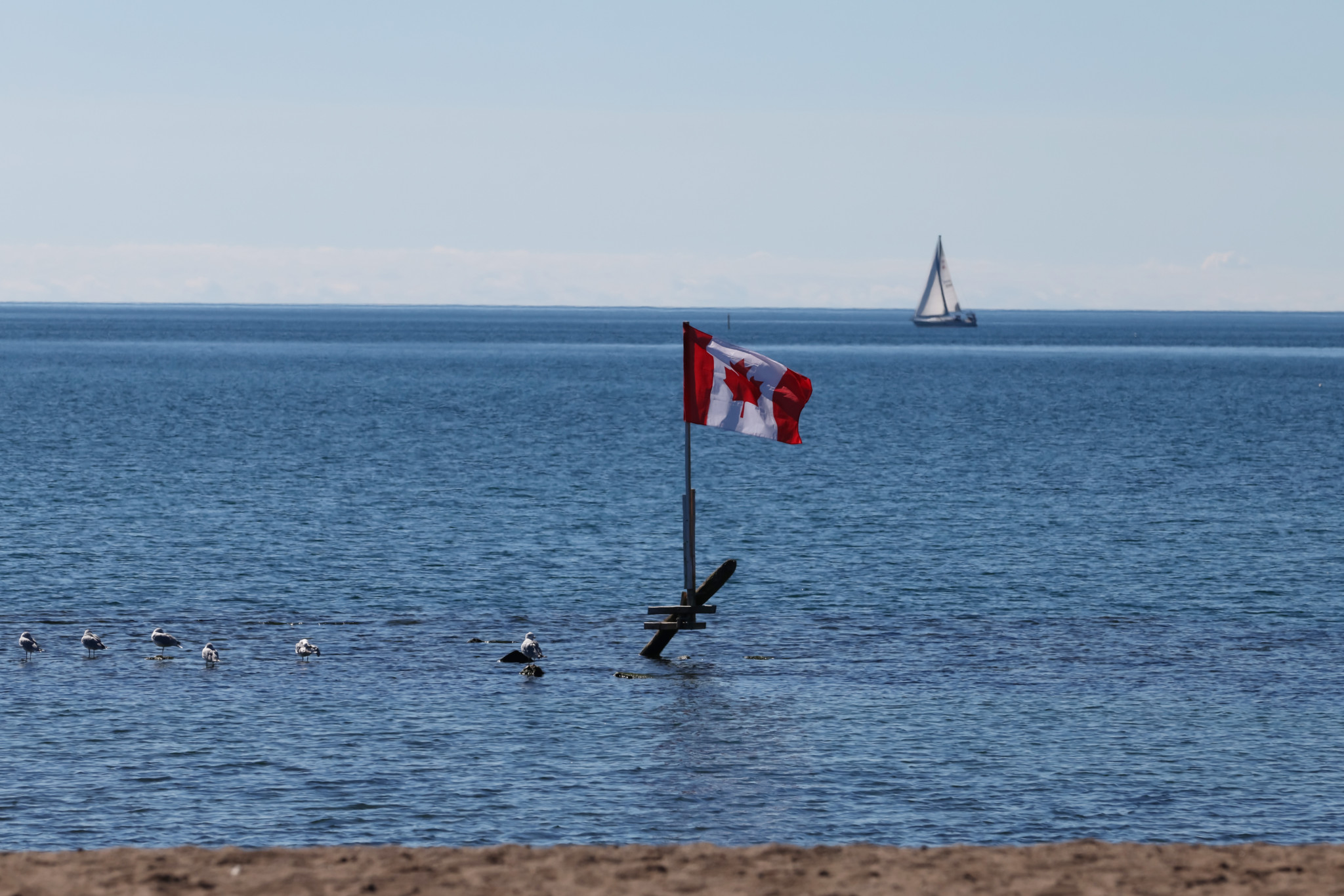 Kanadische Flagge im Lake Ontario bei Toronto, nachdem Trump ankündigte, den See in «Lake America» umzubenennen.
