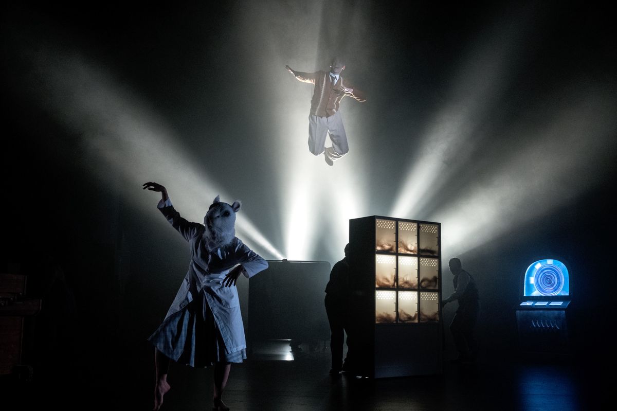 En matière d’intellect, point trop n’en faut