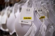 Wäschemarken in der Krise: Calida Group: Die Wende lässt auf sich warten