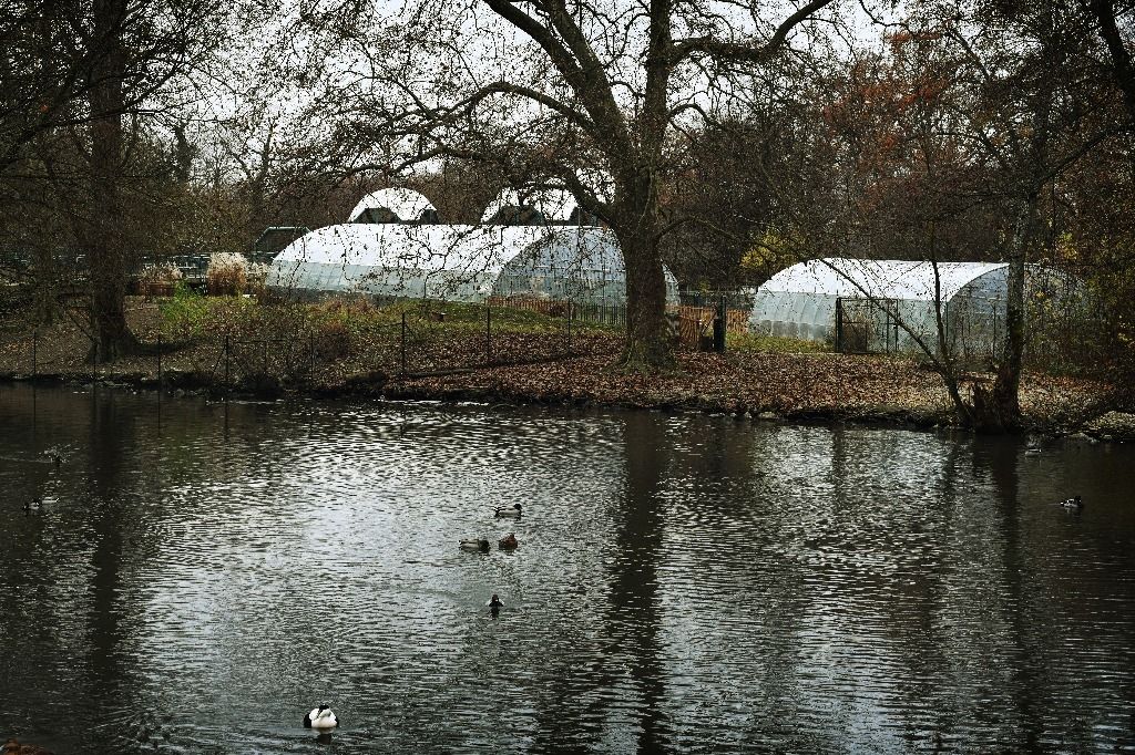 Le parc animalier de la Bâtie est lui aussi confiné