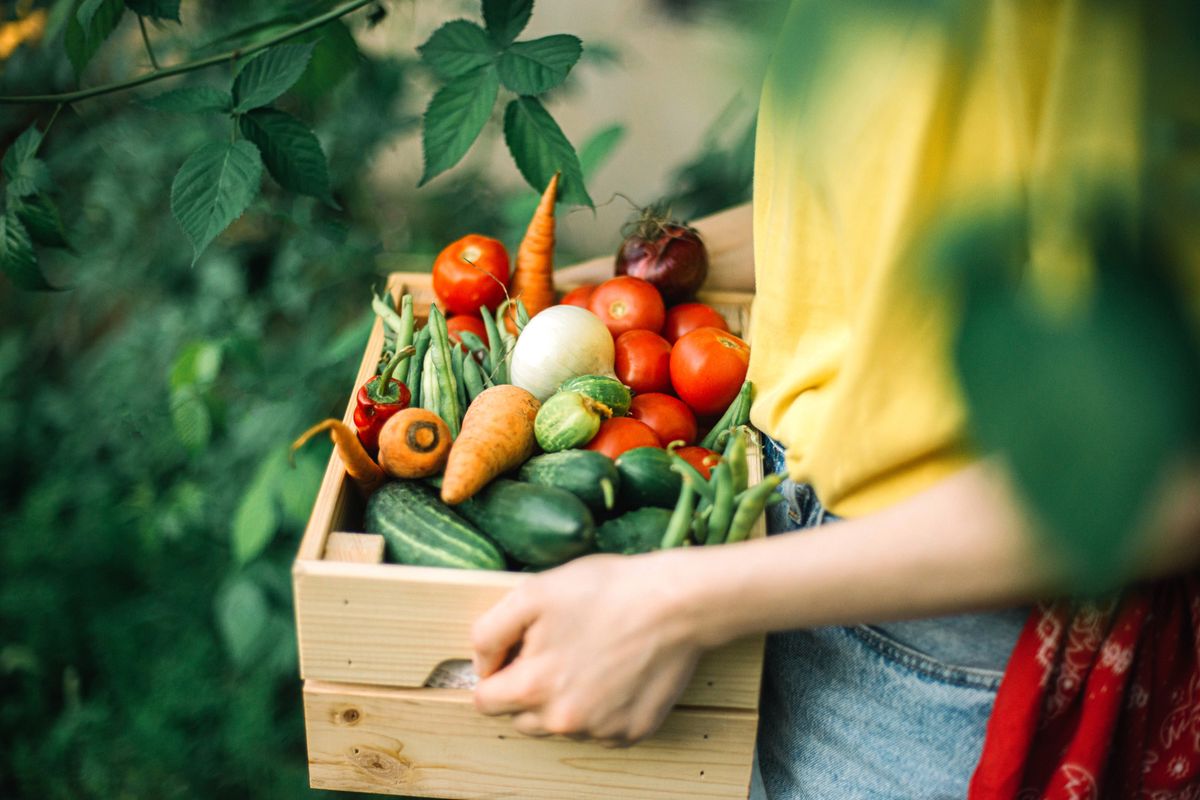 Vielfalt-im-Garten-Warum-Ihr-Gem-se-besser-w-chst-wenn-Blumen-danebenstehen