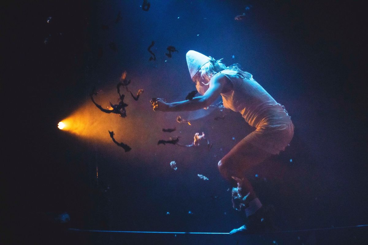 «Le cirque est l’art de la prise de risque qui peut être mortelle»