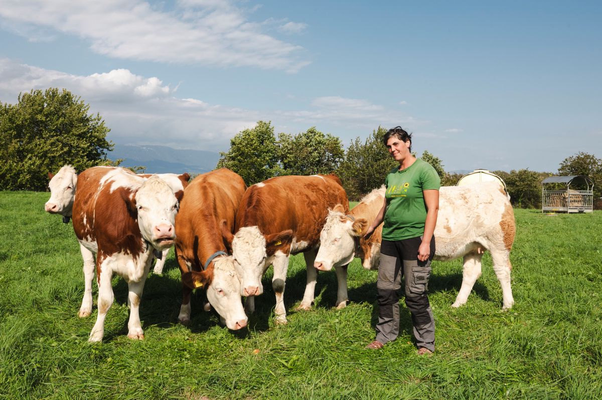 La Mauguettaz (Yvonand), le mardi 3 octobre 2023. Sarah Challandes, agricultrice. Son exploitation absorbe plus de CO2 qu'elle n'en émet. (Marie-Lou Dumauthioz/24heures)  