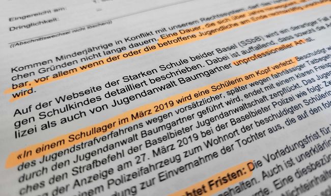 Landrätin Anita Biedert (SVP) verlangt von der Regierung Antworten zu einem Jugendstrafverfahren, das über zwei Jahre dauerte. Dies nachdem der Verein Starke Schule beider Basel den Fall an die Öffentlichkeit brachte.