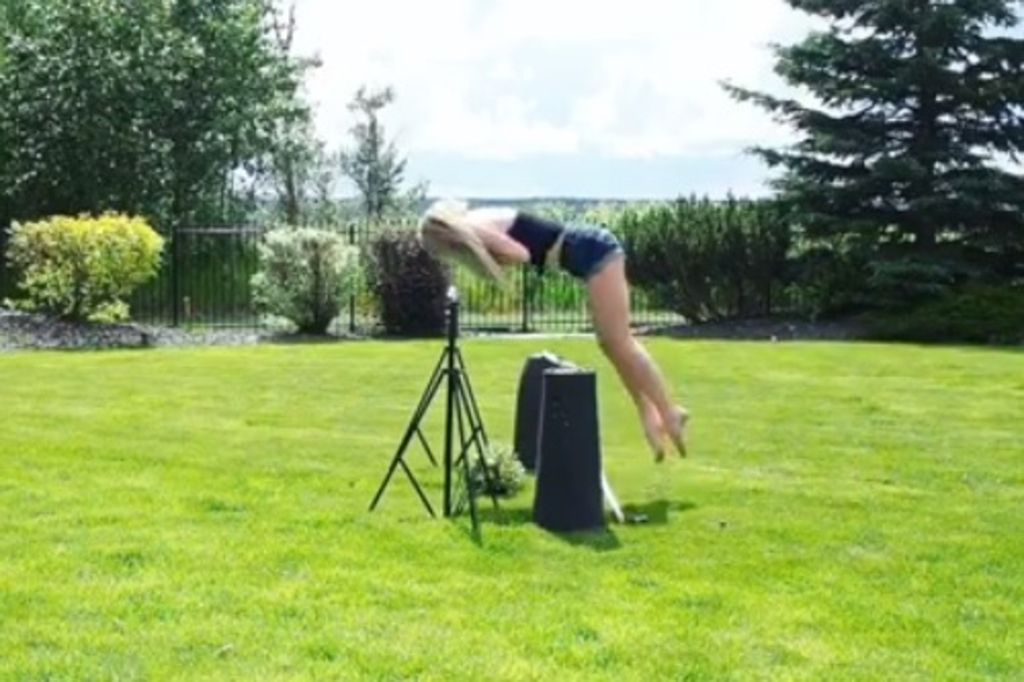 Dieses Rössli geht viral Der Bund